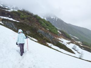 Icy and windy at high elevation - Harding Icefield
